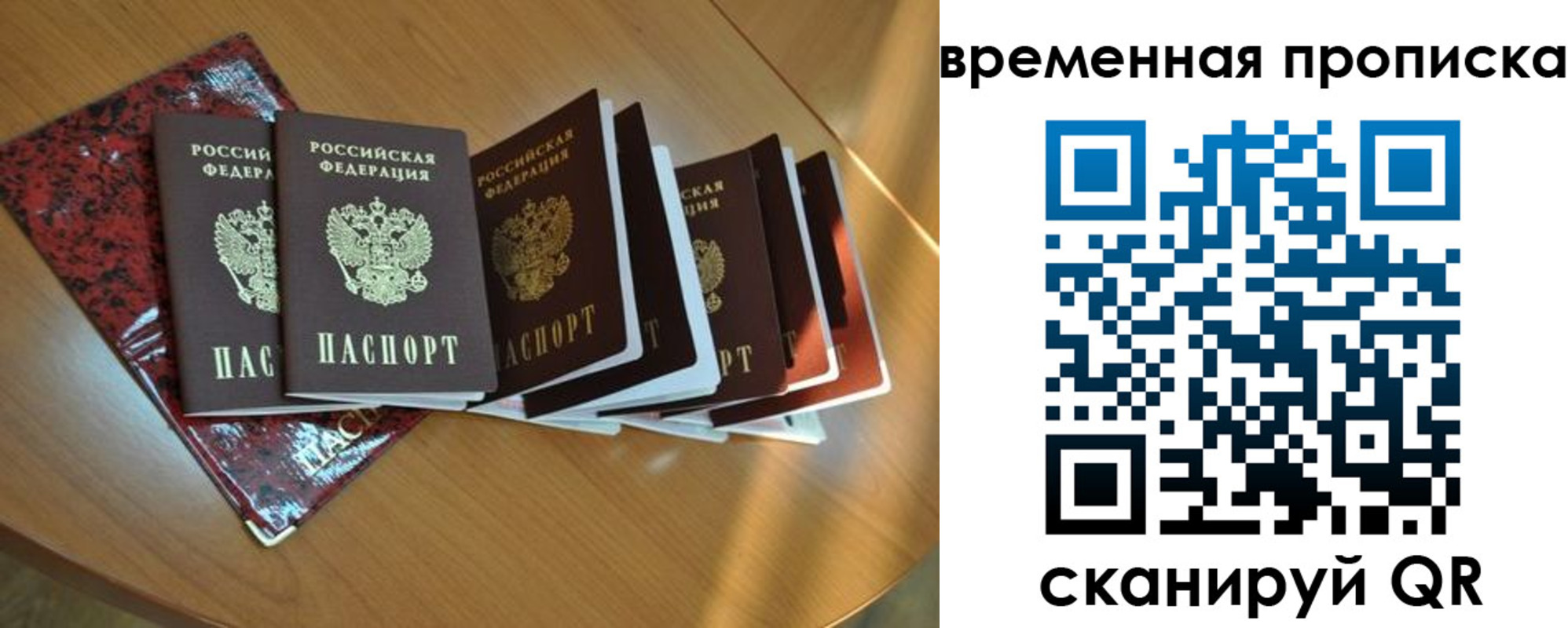 прописка в Чистополье